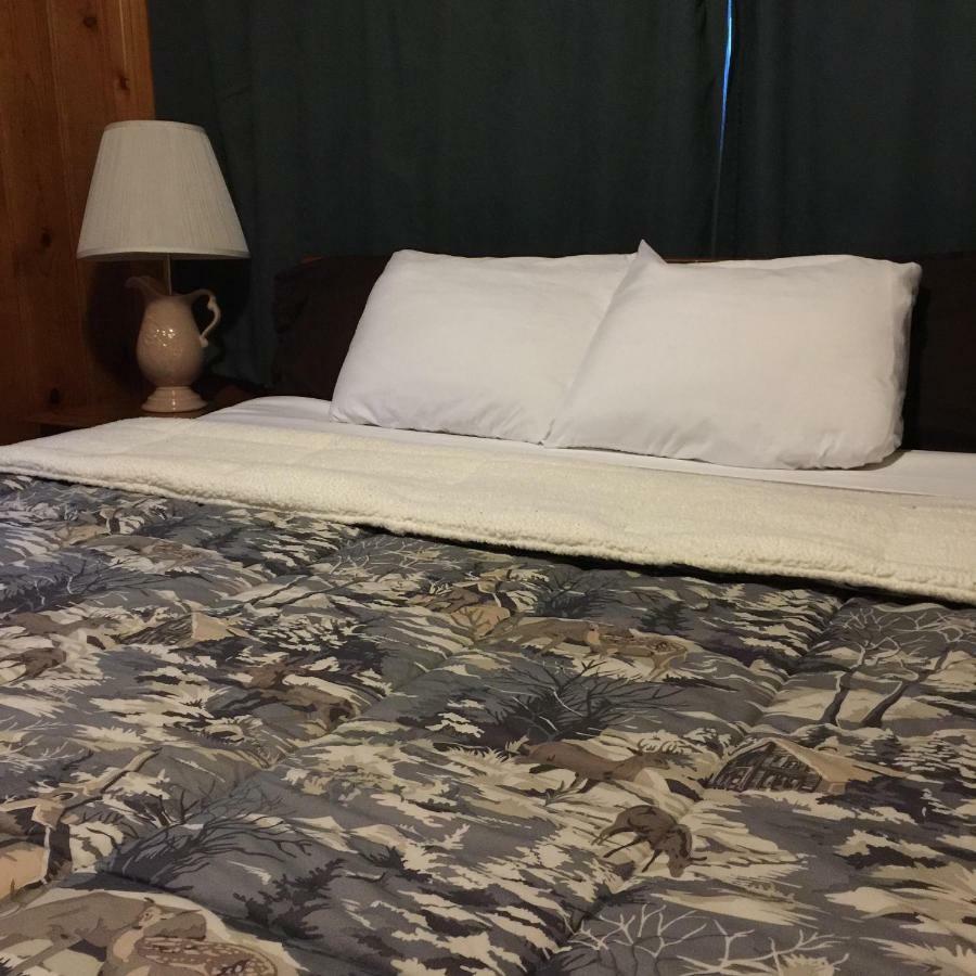 بيغ بير لاكي، سان بيرناردينو، كاليفورنيا Timber Haven Lodge المظهر الخارجي الصورة